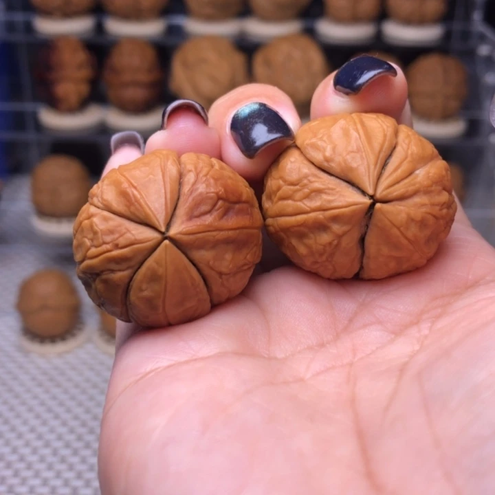 文玩核桃把件79号金枝玉叶30尺