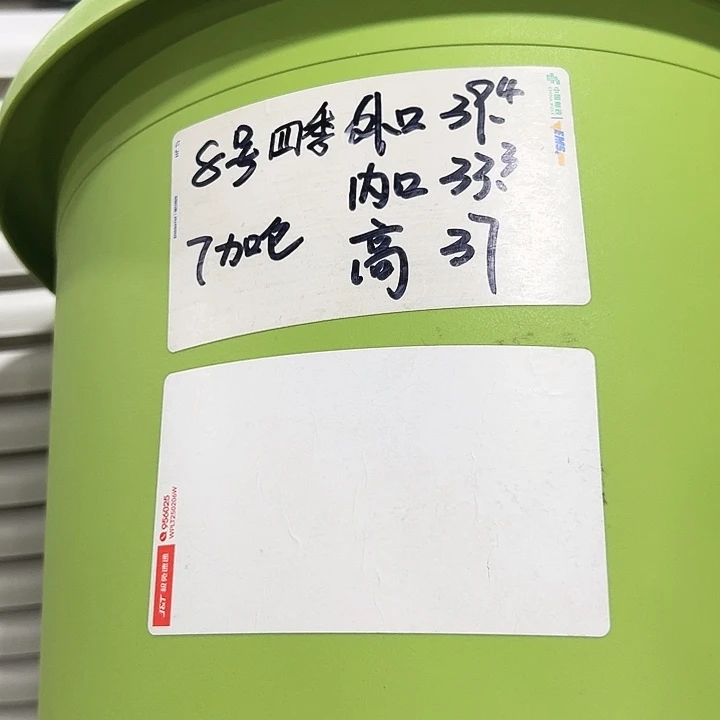 特价8号口39高37果绿5只无托