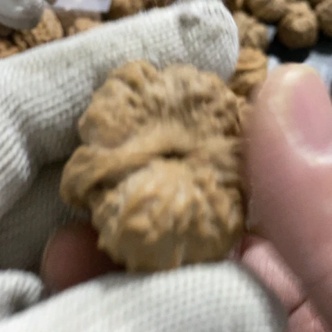 把件文玩核桃哈哈哈