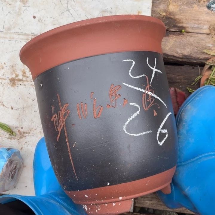 紫砂花盆紫砂的花