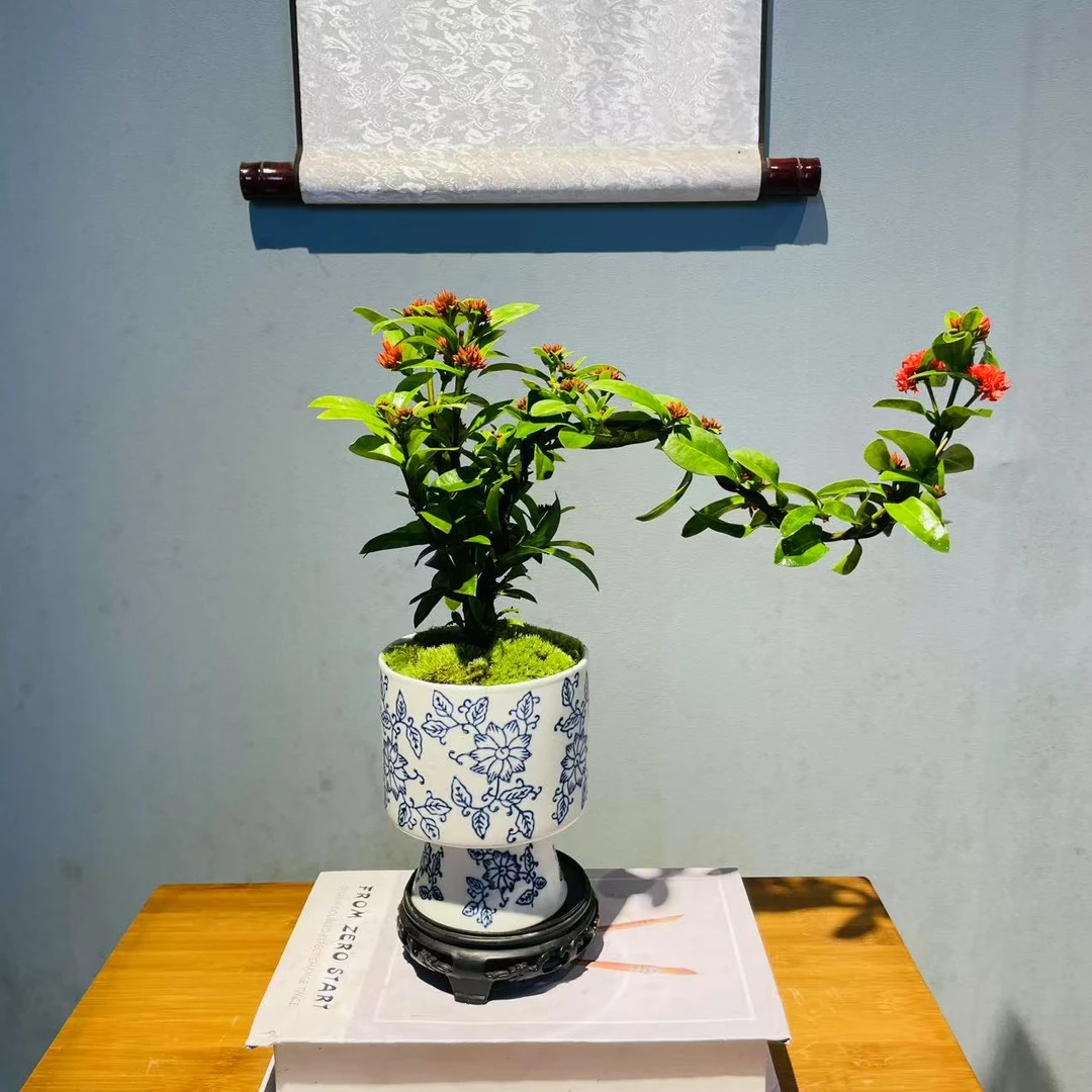 ZF莲花高脚小号青花陶瓷盆飘枝龙船花