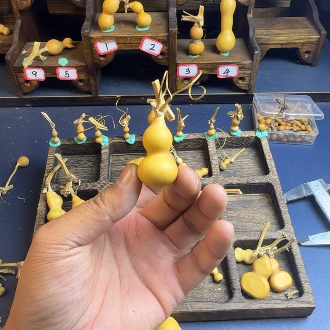 七*吖我是一只小小鸟地域鬼的人生