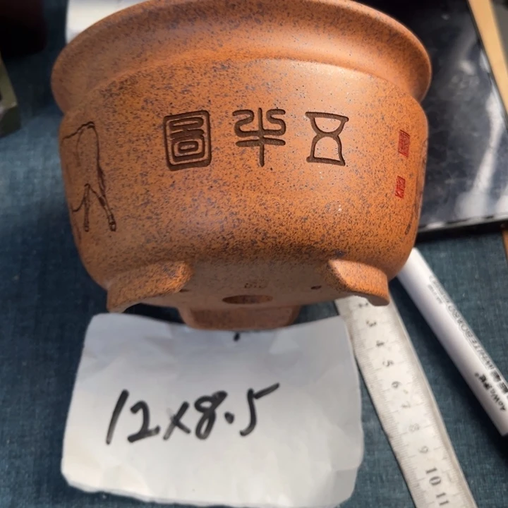 呜呜呜太好看太好看花