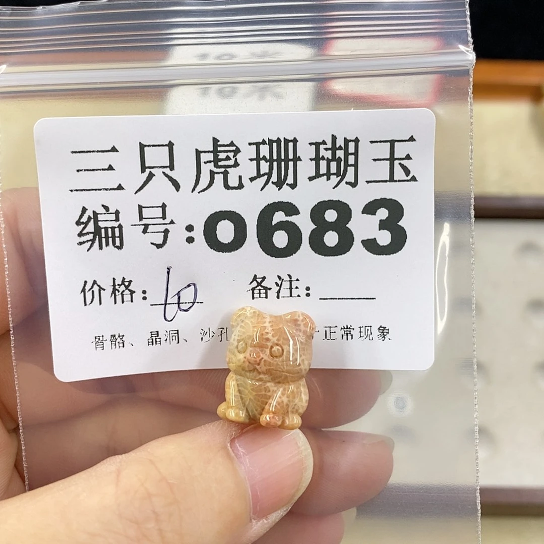 硅化珊瑚（珊瑚玉）1未镶嵌晨*