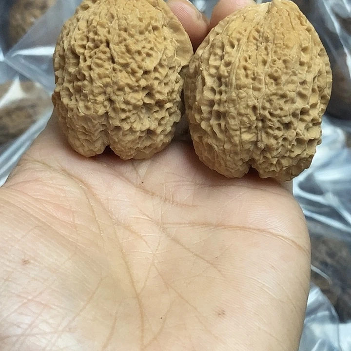 文玩核桃把件云南铁核桃基地9