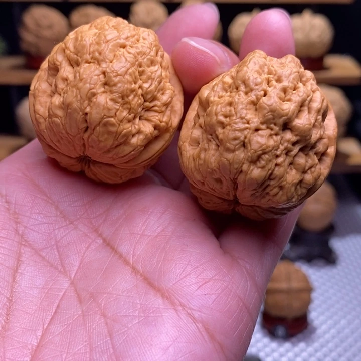 木质类云铁帝王蝉75号