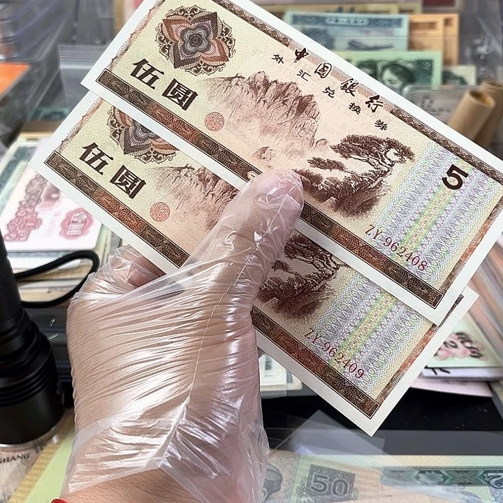 外汇券5块的一起2张一起408