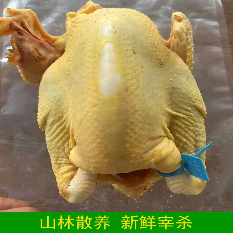 [杨姐]广西阉鸡山林散养280天新鲜现宰发货