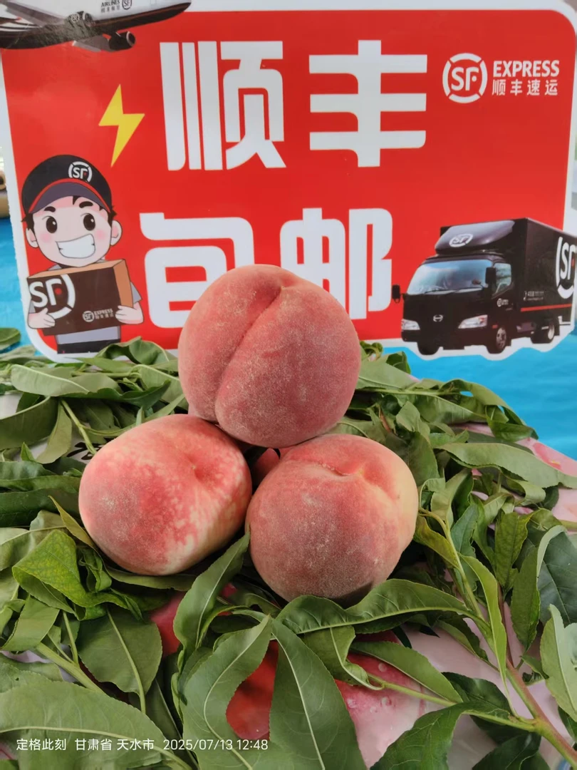 【省内专拍,顺丰包邮】秦安仓方早生水蜜桃现摘现发