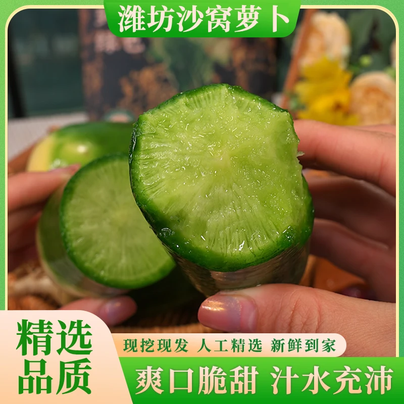 潍坊沙窝萝卜生吃脆甜水果萝卜鲜脆多汁新鲜现挖现发精选3斤起