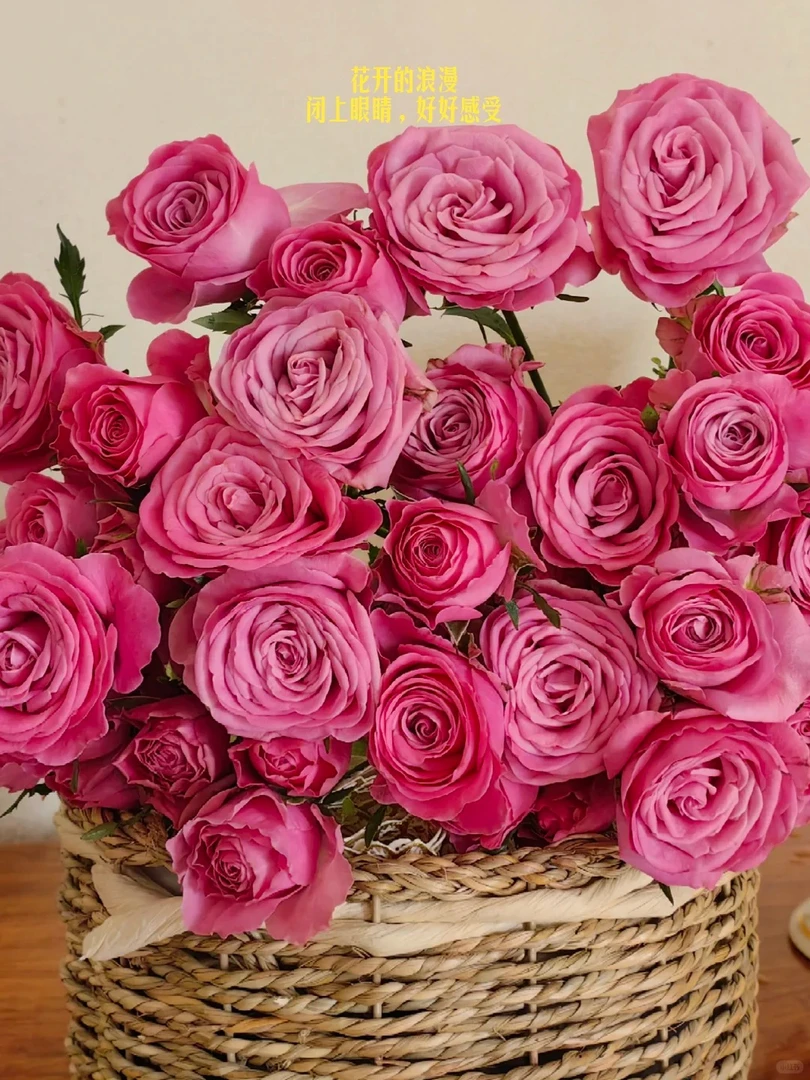 好坞狂欢稀有多头玫瑰---收到花第一时间醒花