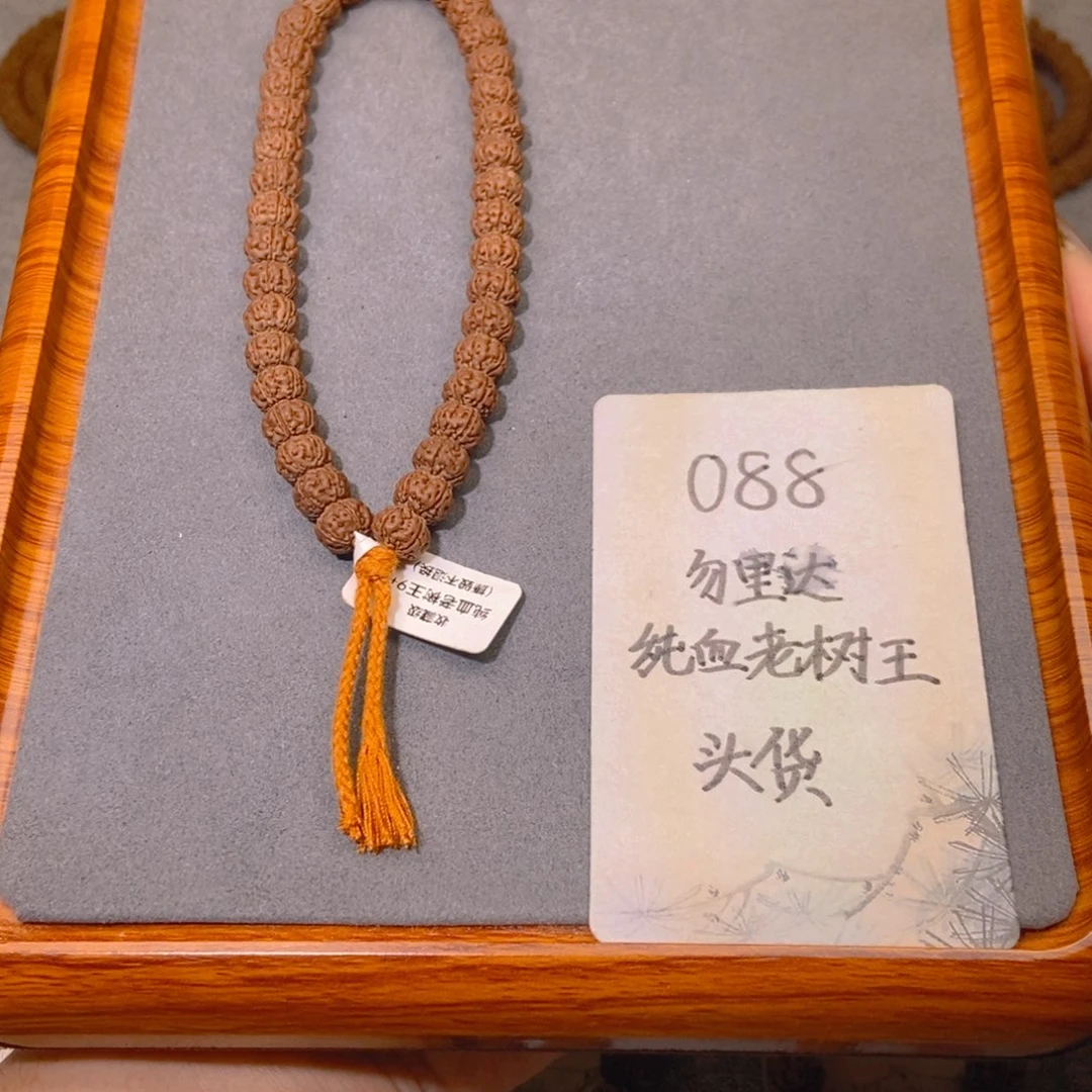 金刚菩提吊坠088头货勿里达纯血老树王9.3