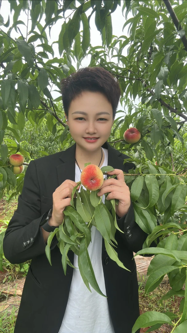 湖南新田昭爷 本地黄蟠桃 现摘现发 包邮发货