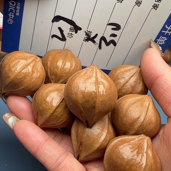 老***张橄榄核手串橄榄核