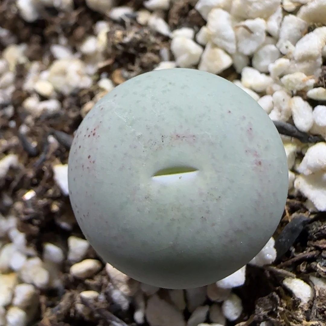 12.13。    v嘴。    2034