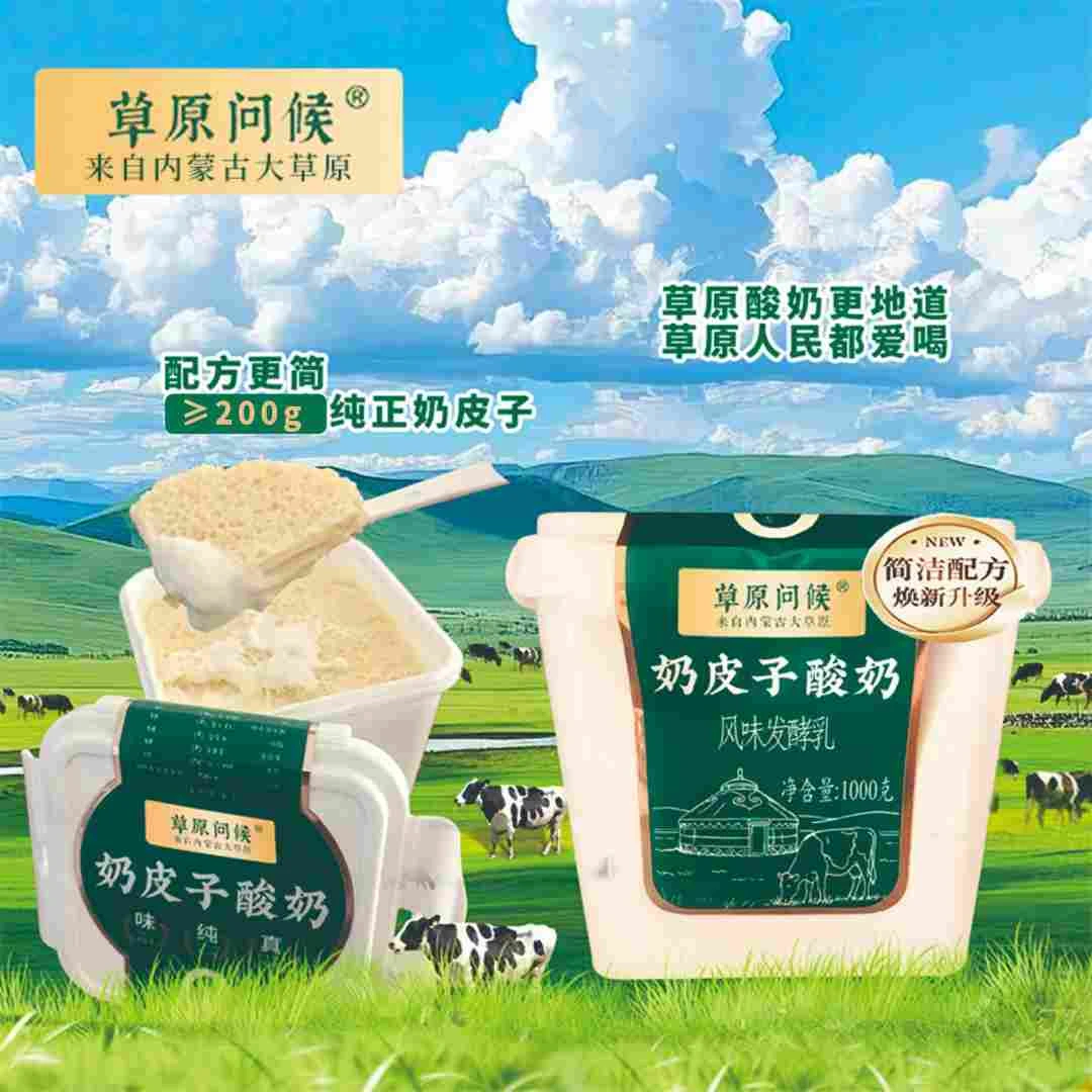 草原问候正宗鲜奶皮子老酸奶零食内蒙特产奶制品高钙非干噎冷萃