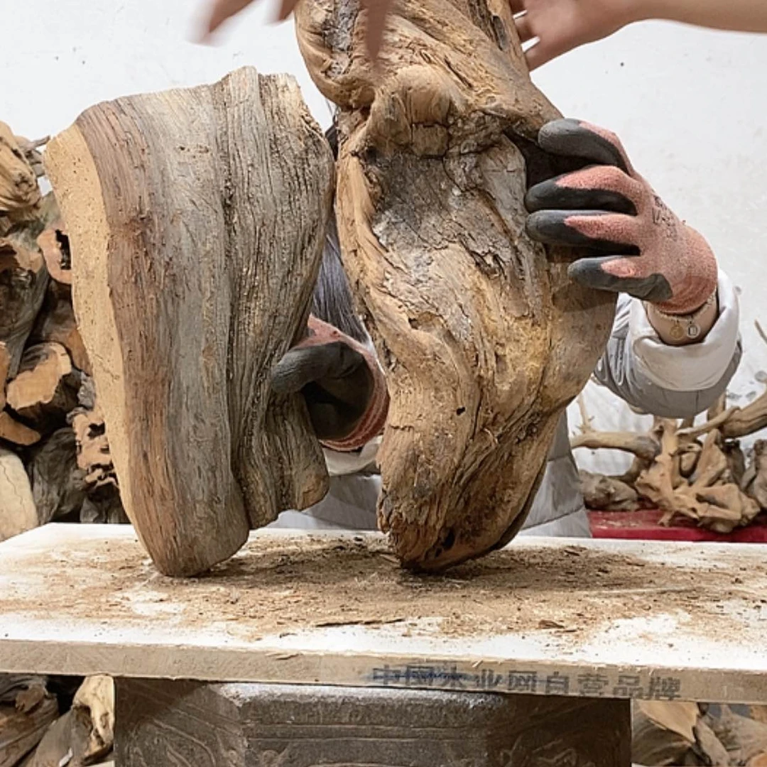 【闪购商品】柏木华****8我们都是好孩子