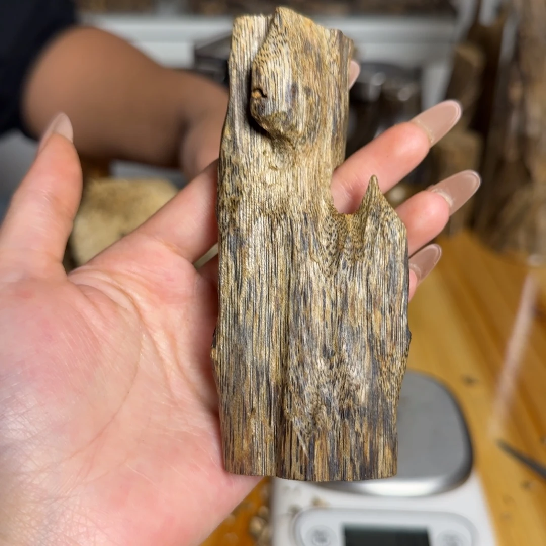 沉香白奇虫漏香26克