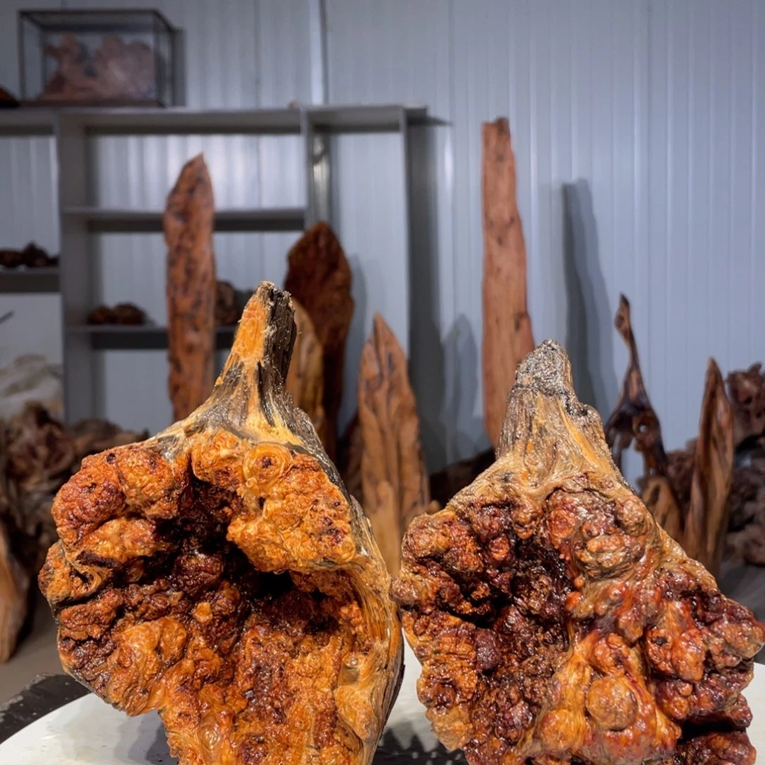 雁***)树脂＋木头猛子琥珀木家具14