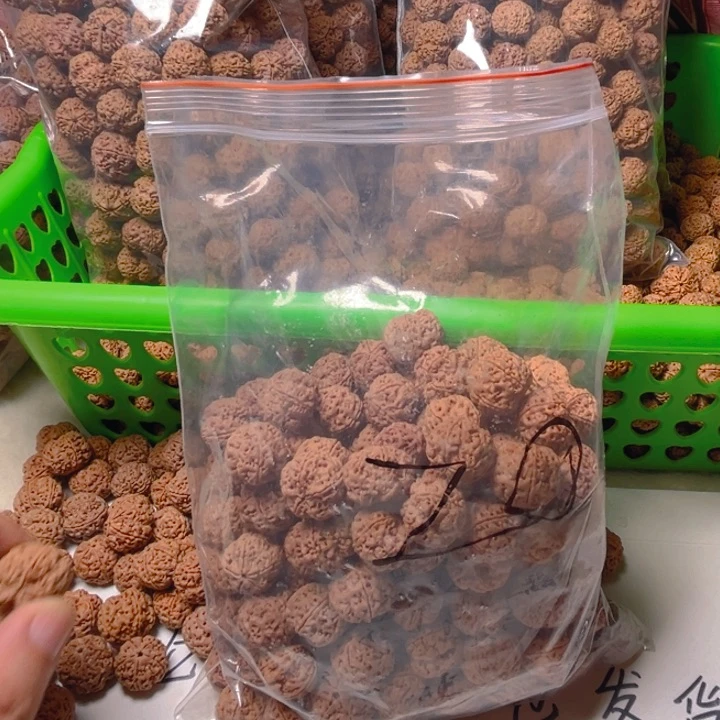 金刚菩提手串古龙蜂王散籽主力20