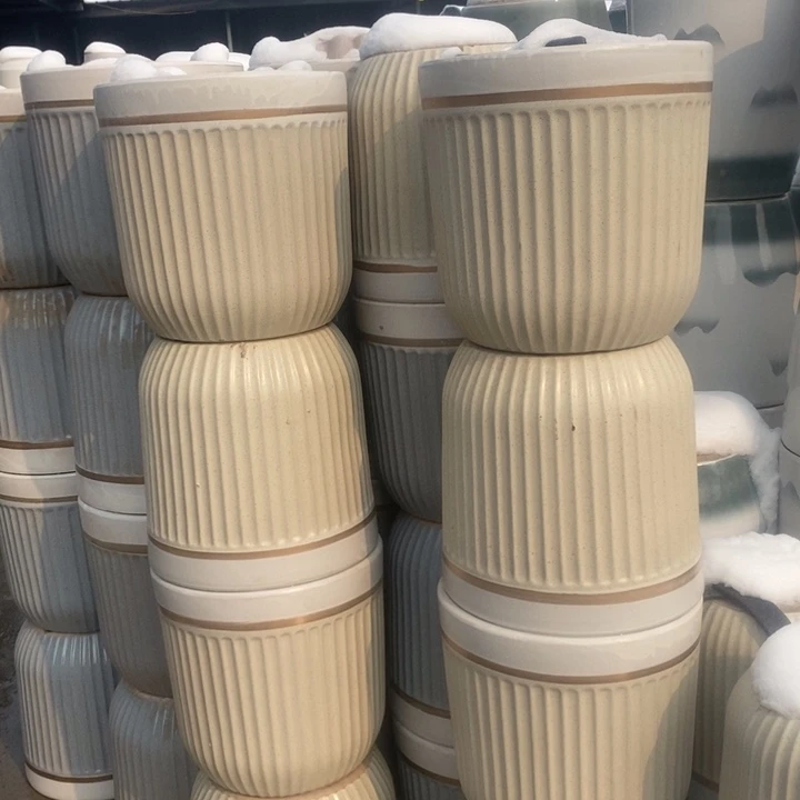 低腰奶茶金边白特大号口39/39