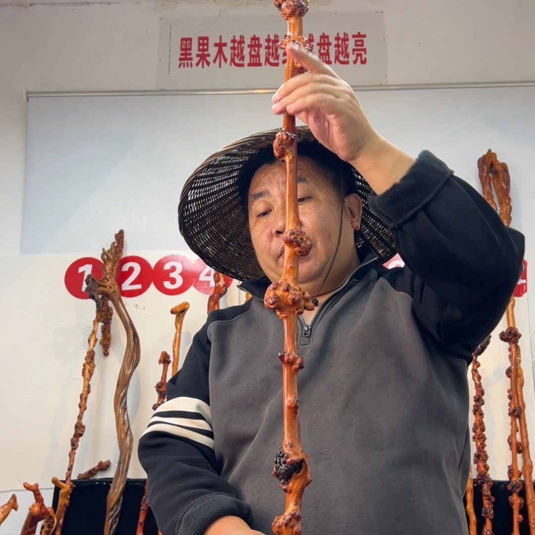 盛***代黑果木其他黑果木254
