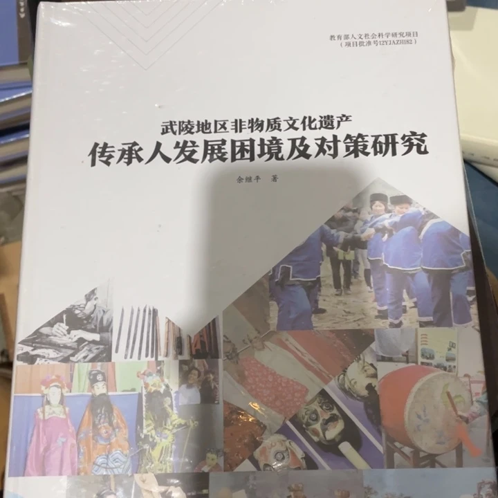 武陵地区非物质文化遗产传承人发展困境及对策研究