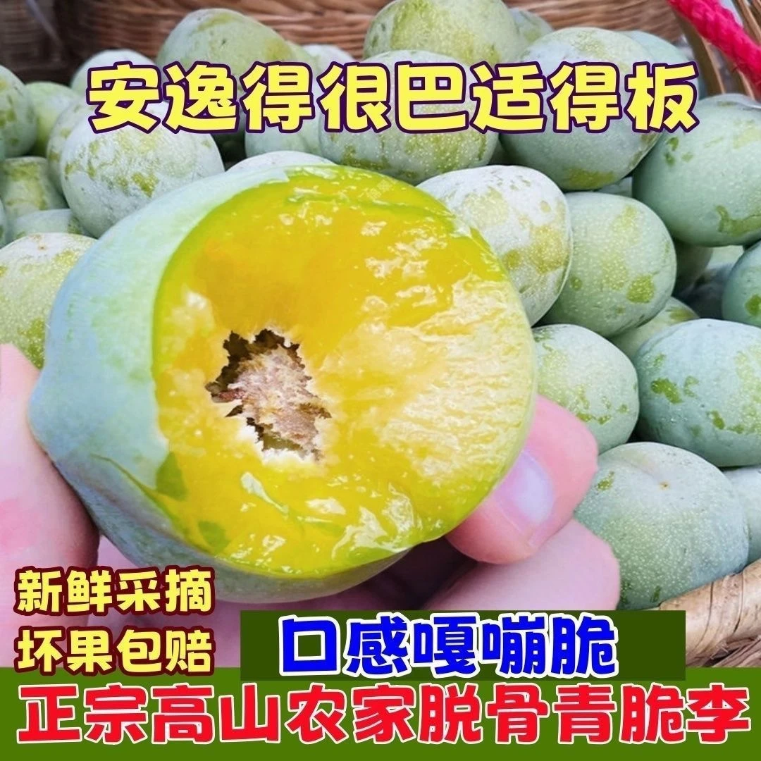 正宗青脆李贵州四月李脱骨李产地3/5斤现摘新鲜酸甜水果整箱包邮