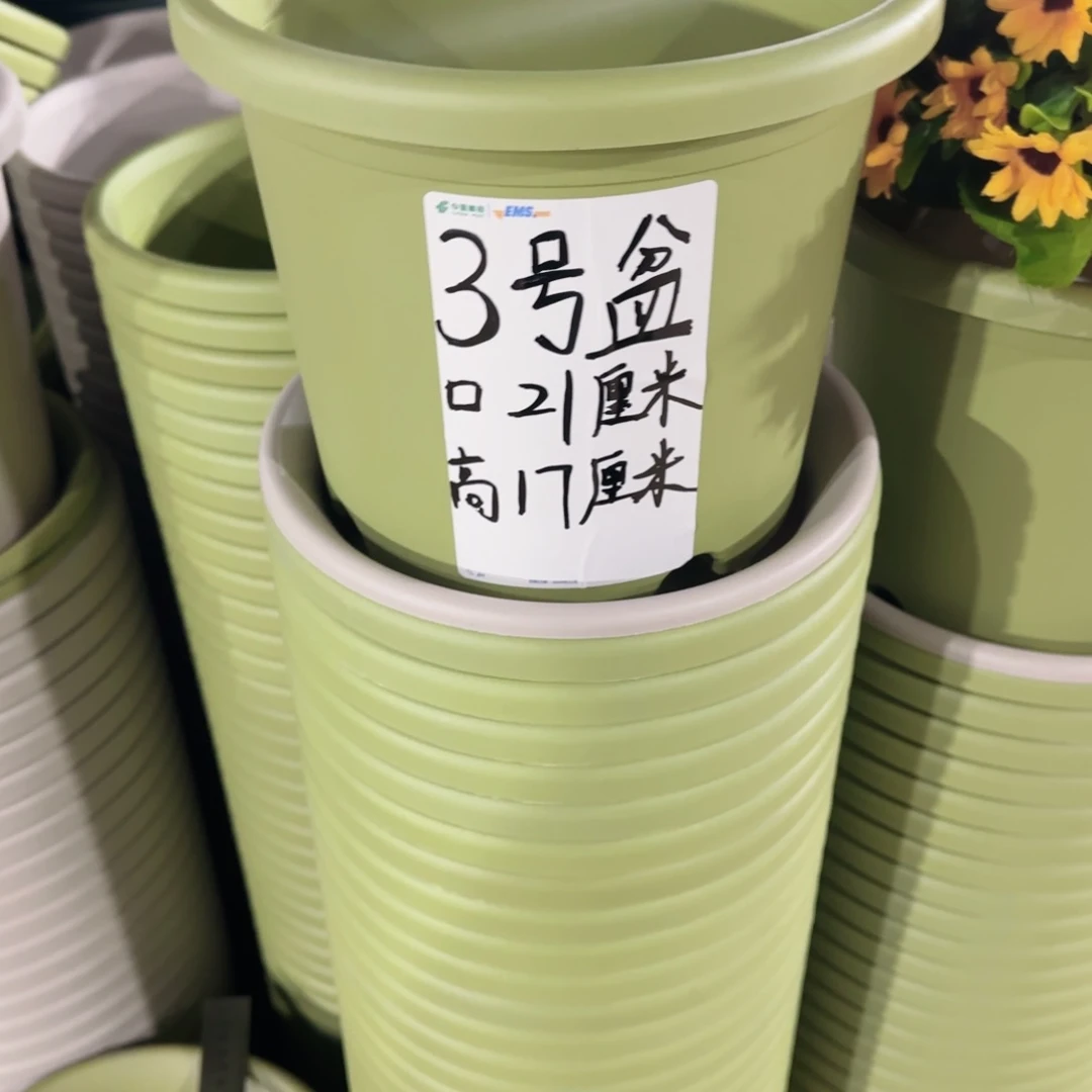塑料四季3号果绿3个带拖