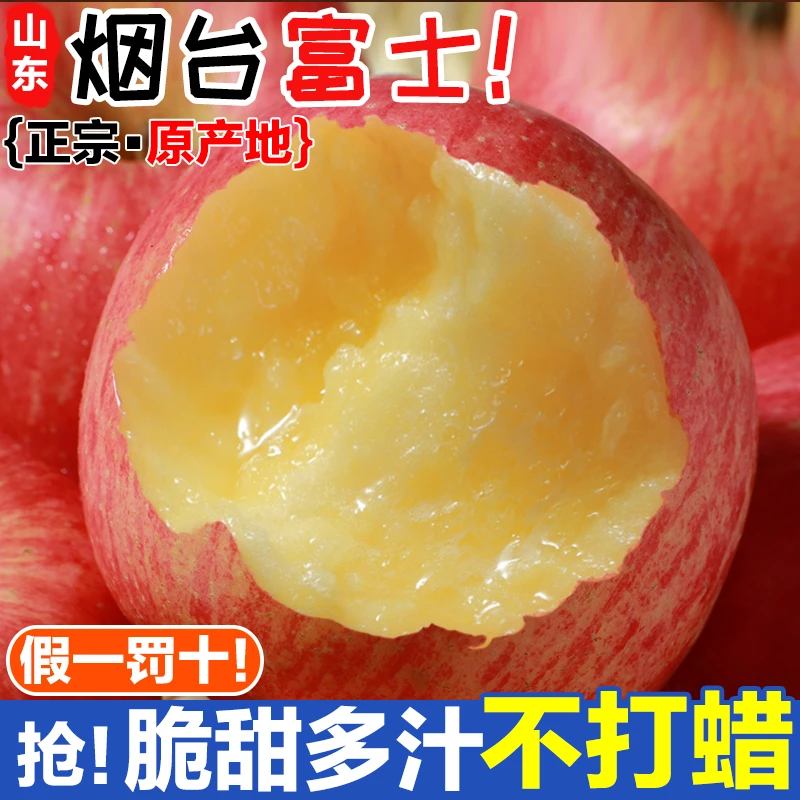 【今年新果】山东烟台红富士苹果新鲜脆甜多汁皮薄爽口