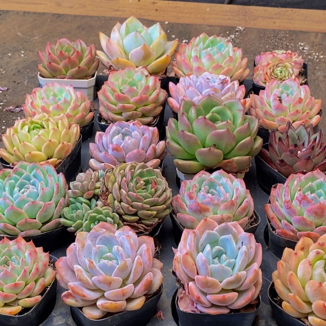 546的人在一起的时候就