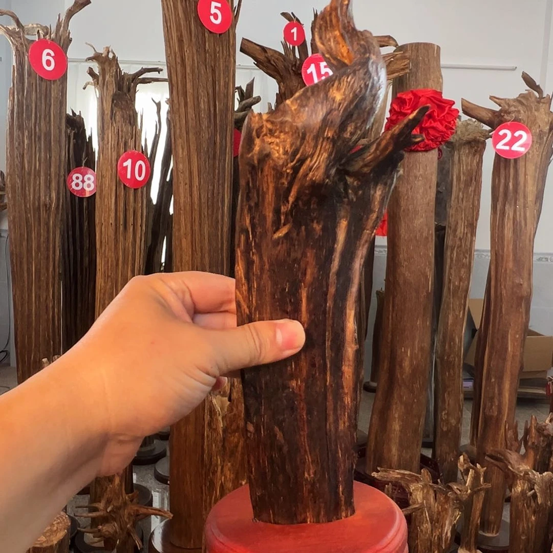 ****^沉香碎屑沉香沉香原料6