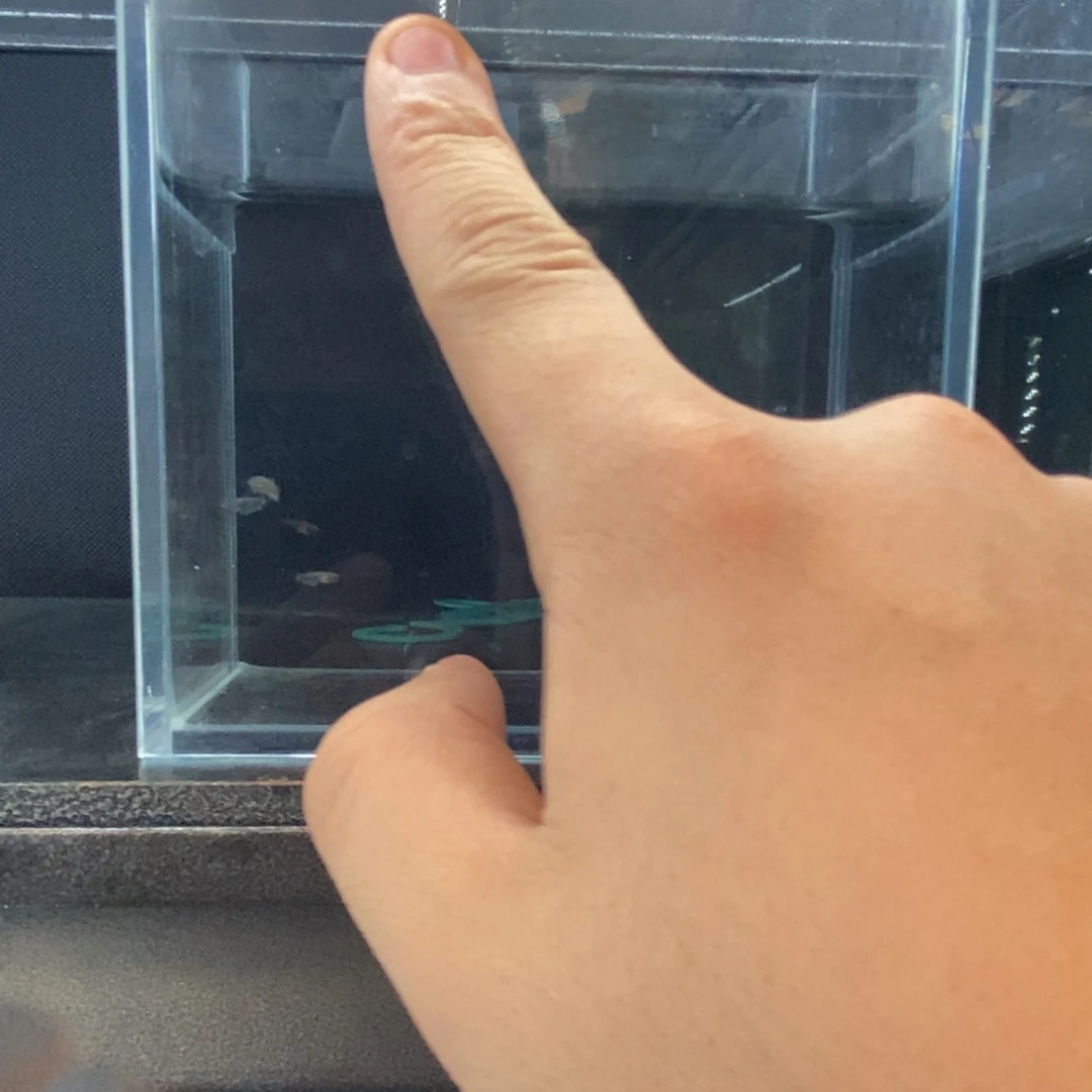 斗鱼包活不包损所见即所得138