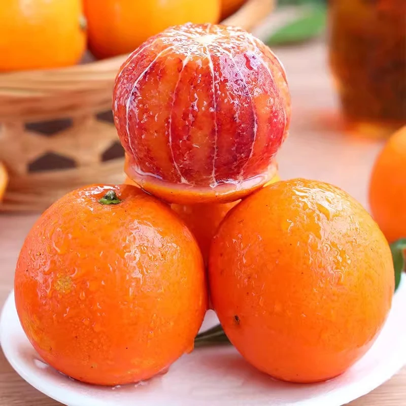 正宗四川塔罗科血橙新鲜水果应季资中红心果冻橙子孕妇雪橙子5斤8斤