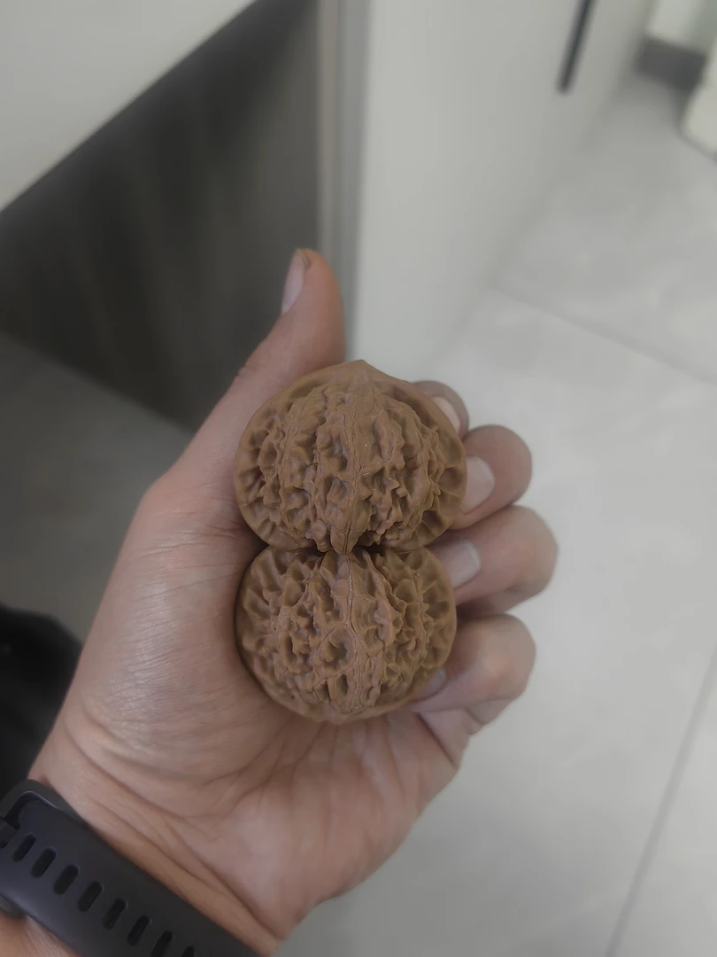 精品文玩核桃宫灯尺寸饱满41mm