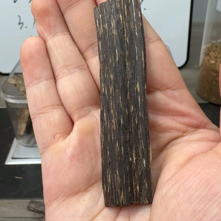 文莱树心油2.2克。