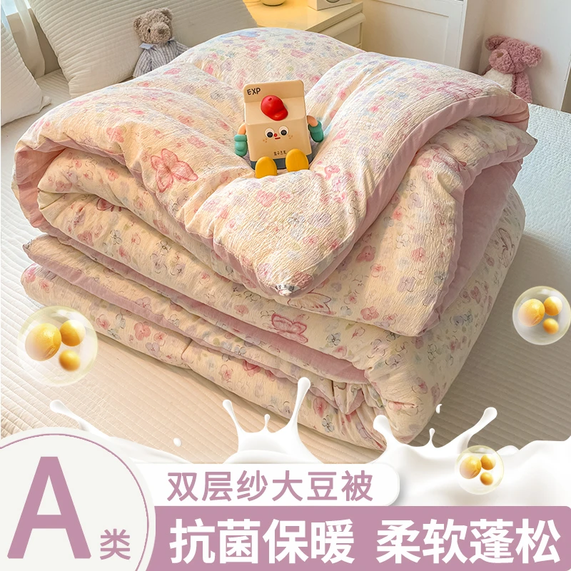 A类双层纱大豆被秋冬季加厚保暖被子被芯家用冬被春秋被四季通用