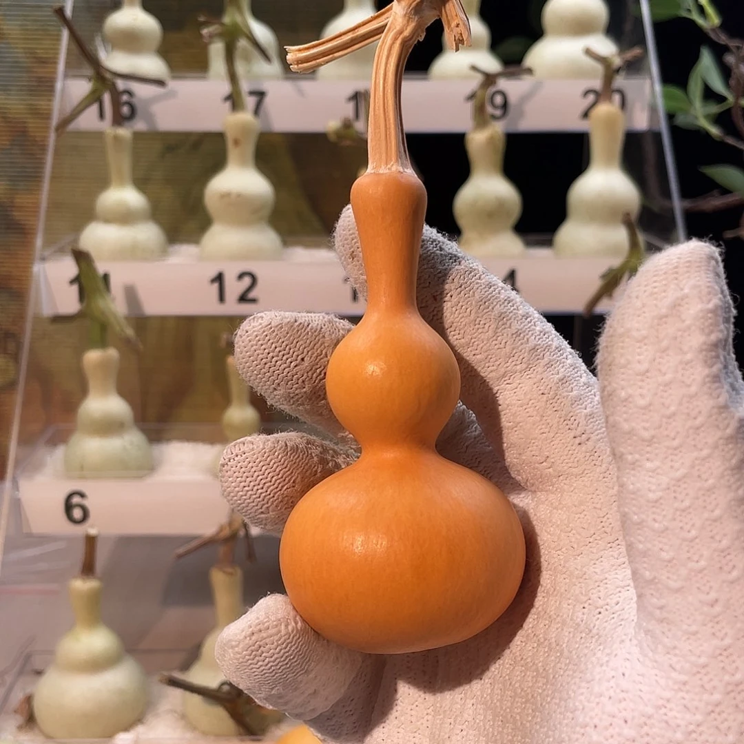 ·***·有机玻璃葫芦葫芦葫芦葫芦葫芦
