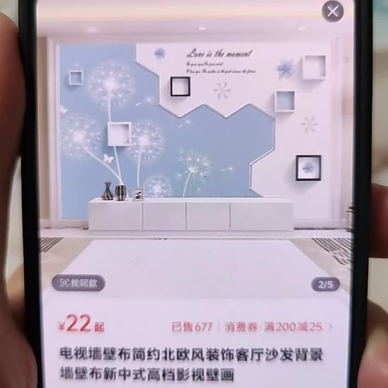 你***福客厅电视墙壁画壁布