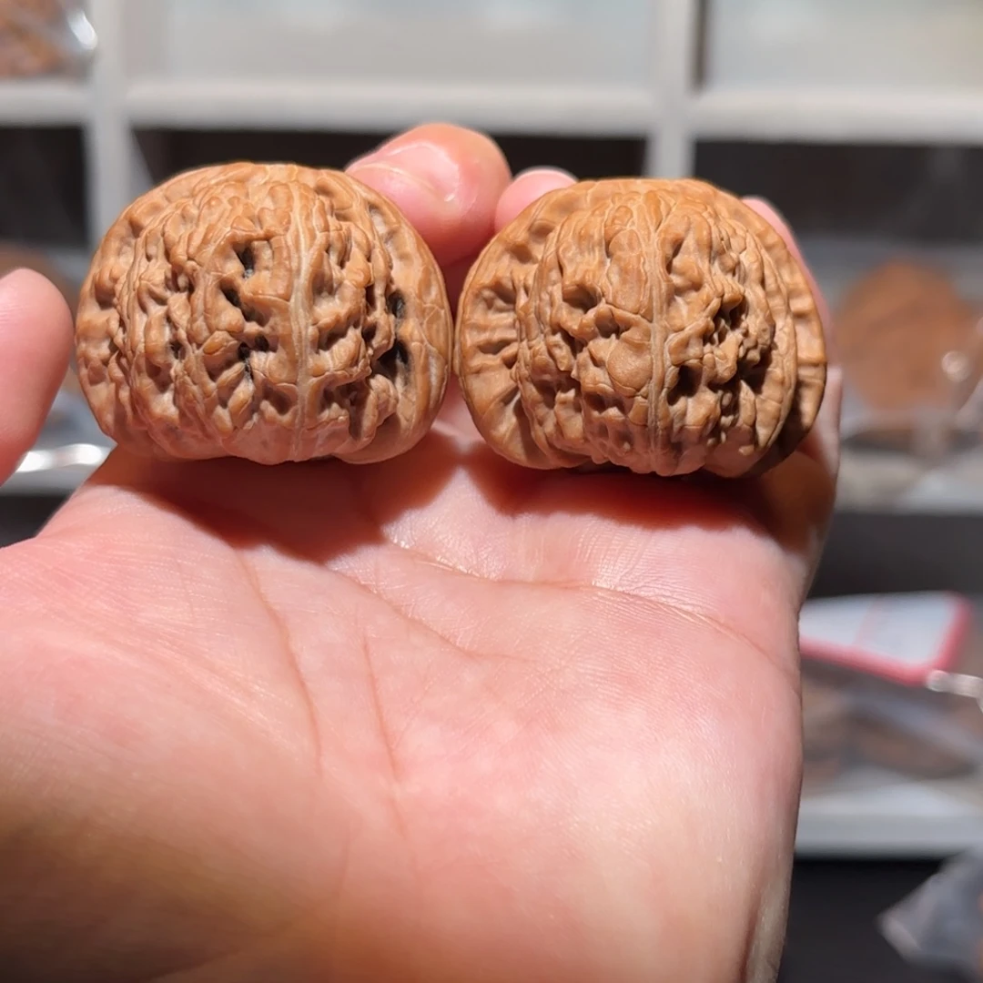 大***铮文玩核桃把件39 尺全品白狮子