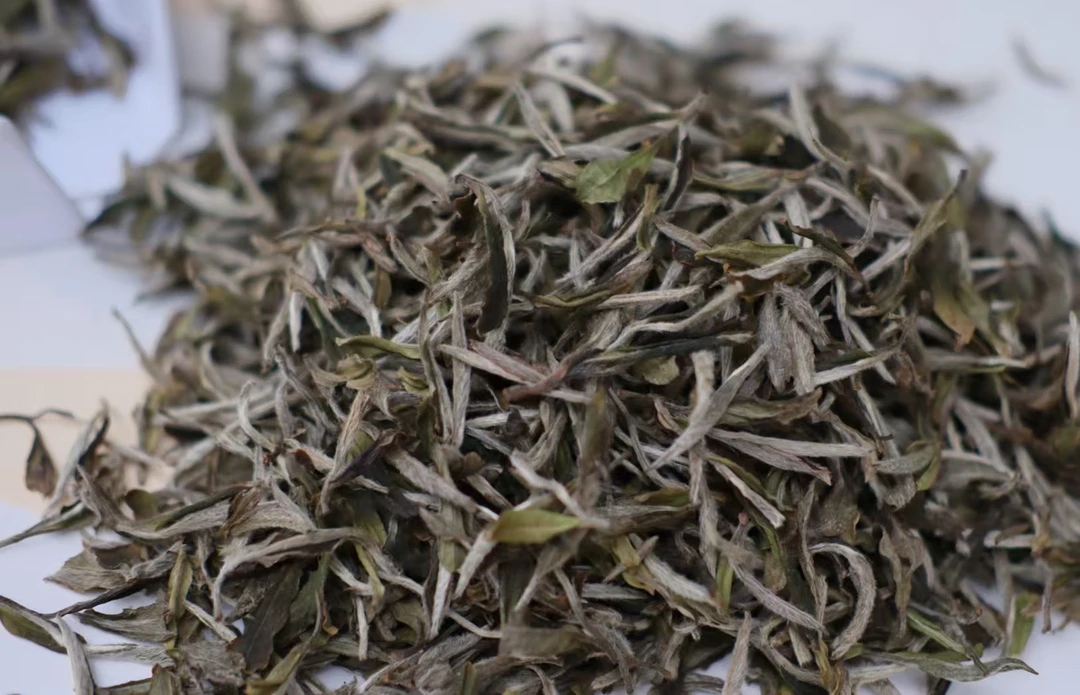 福春莱 2022雪后特级白牡丹两泡装