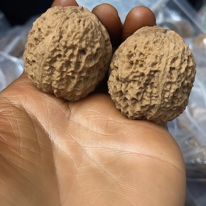 把件文玩核桃云南铁核桃基地26
