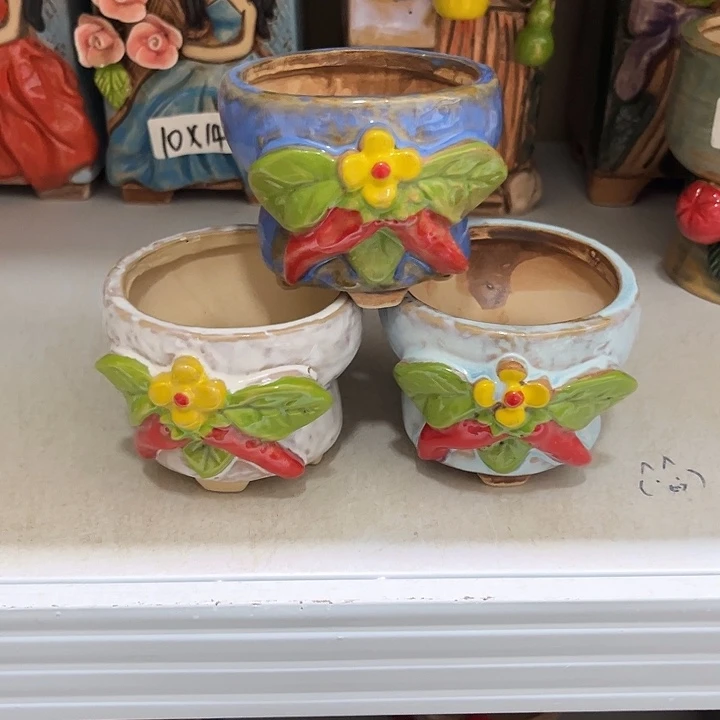 粗陶材质多肉花盆