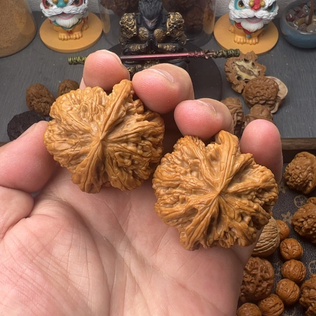 44球筋有修1111111