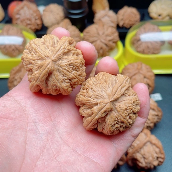 文玩核桃把件平谷大粗筋43×42×37