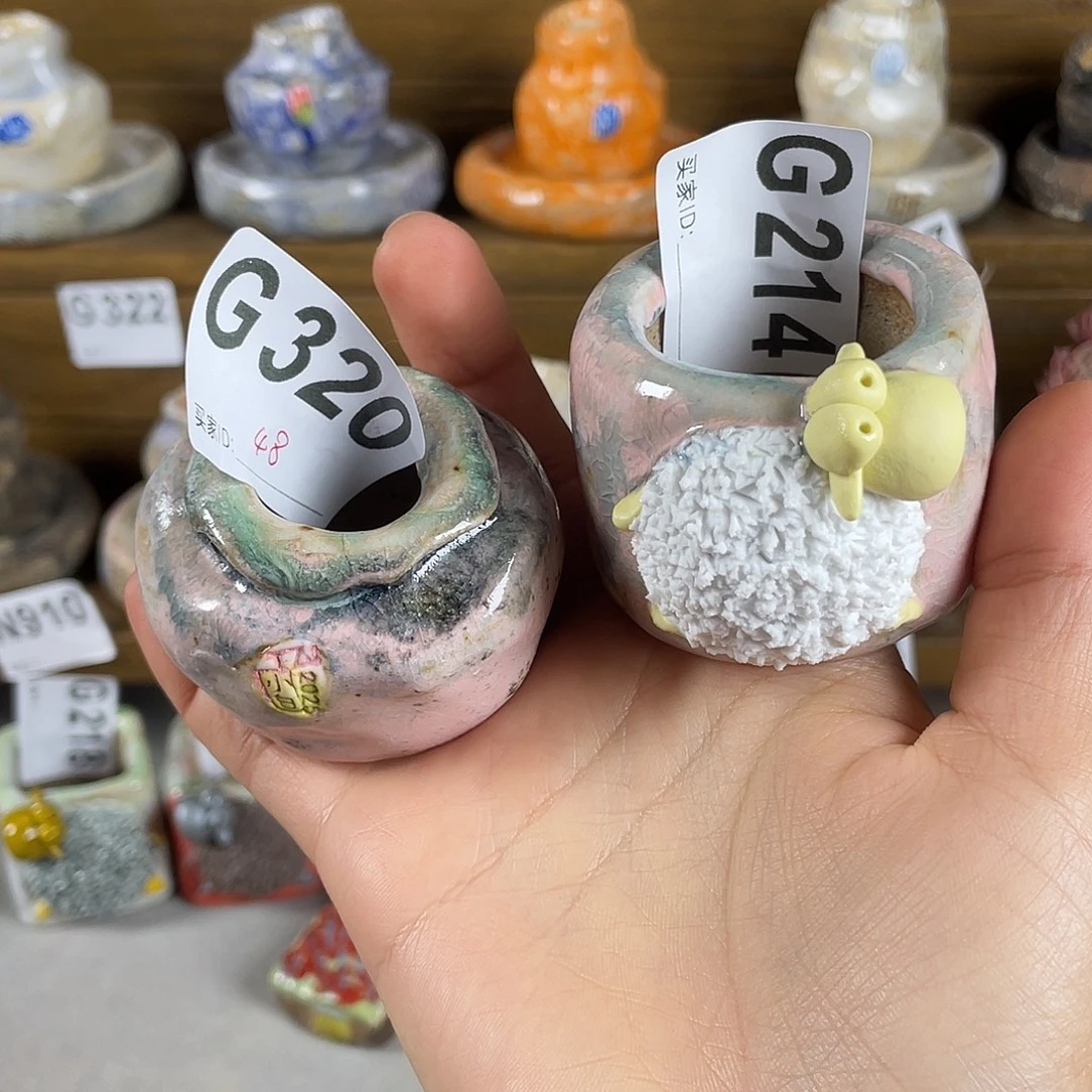 j***c坛子姐花盆  小白孤品百搭