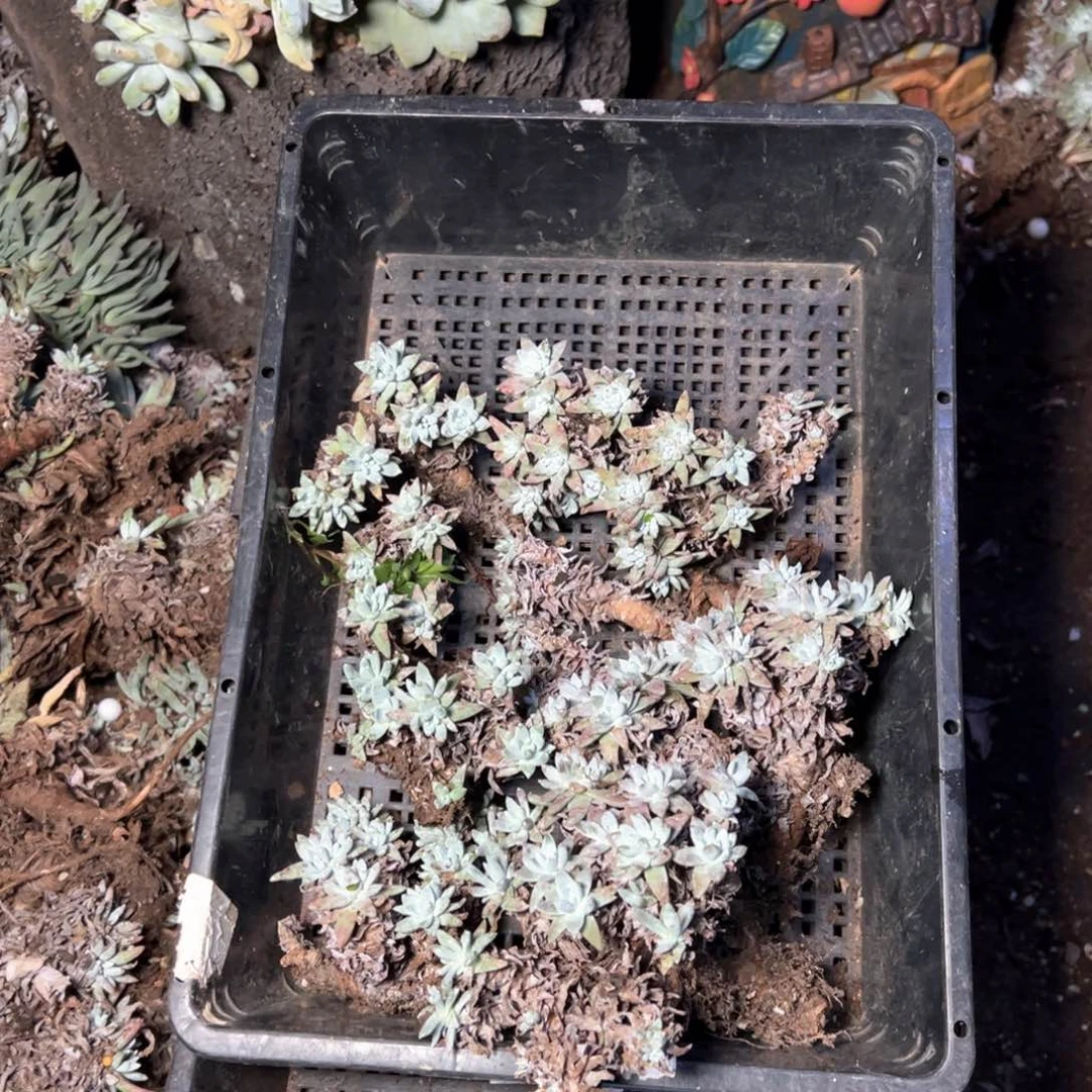 5625哈哈哈哈哈哈哈哈