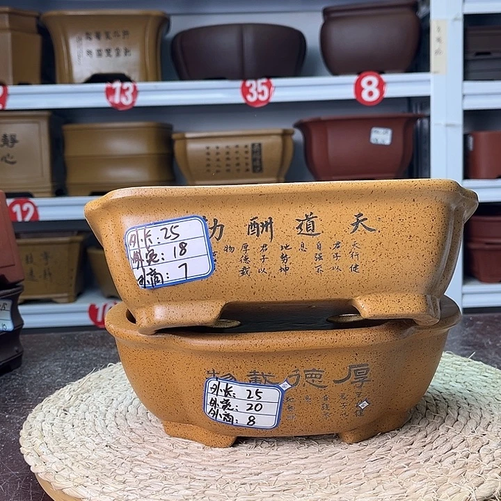 花盆紫砂你在一起