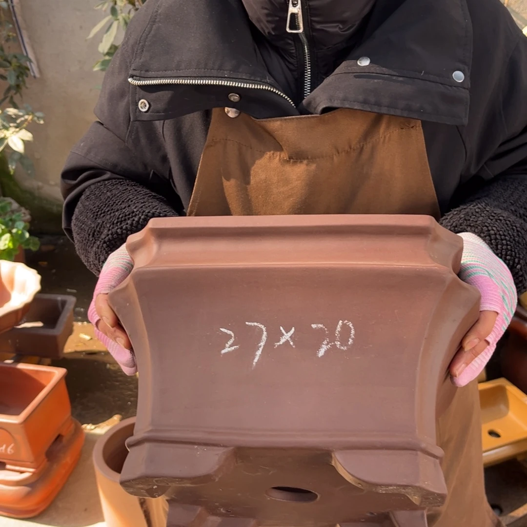 紫砂花盆盆景艺术