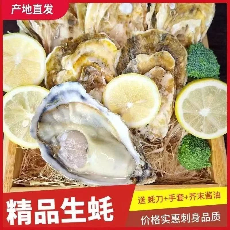 1斤装生蚝鲜活发货